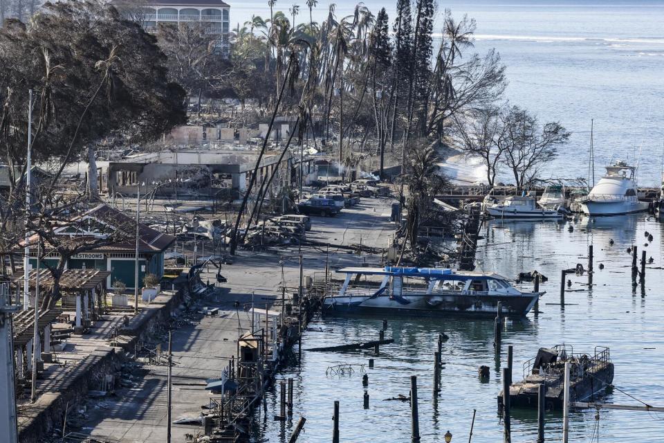 Boats are docked along a burned area.