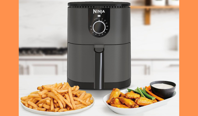 Ninja af080 Mini Air Fryer Review  Best Small Mini Air Fryer 2022 