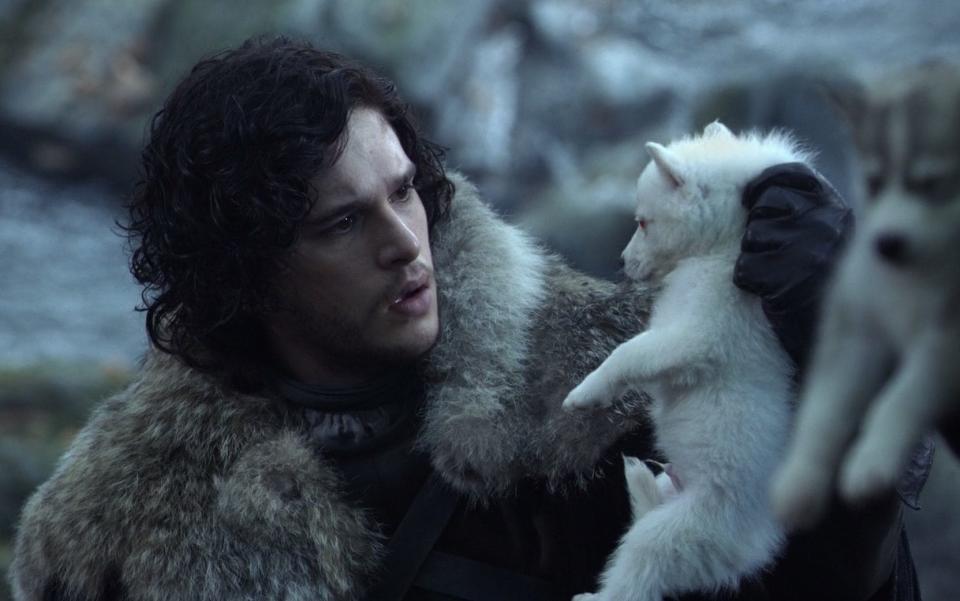 Since Game of Thrones animal welfare charities have seen a 700 per cent increase in abandoned huskies - Game of Thrones (HBO)