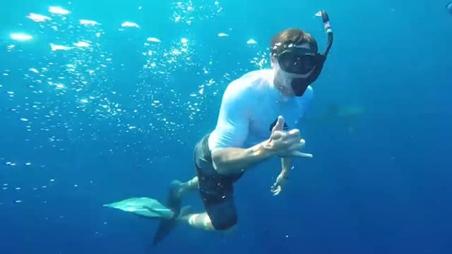 Zac Efron and Adam DeVine are becoming close friends. Earlier this week they went swimming together in a lake and now they are swimming with sharks -- after eating sardines. Zac and Adam, who are co-starring in <em>Mike and Dave Need Wedding Dates</em>, currently filming in Hawaii, documented the crazy trip with a video Zac posted on Twitter. Eating sardines + riding tiger sharks + @adamdevine = Lifetime memories #savethesharks @oceanramsey @oneoceandiving https://t.co/vHhJRHe9C9— Zac Efron (@ZacEfron) June 16, 2015 <strong>WATCH: Zac Efron and Adam Devine Swing Shirtless in Hawaii! </strong> According to Zac, the duo dove into possibly dangerous shark-infested waters to raise awareness for the plight of the tiger shark, which is a "red listed species w/less than 30K worldwide." According to Zac, the tiger shark is also his spirit animal. Tiger shark diving yesterday was epic. A red listed species w/less than 30K worldwide. #spiritanimals #HelpSaveSharks pic.twitter.com/2xnxVk4gua— Zac Efron (@ZacEfron) June 15, 2015 The former Disney star looked more comfortable with the sharks than he recently did on the set of <em>Mike and Dave Need Wedding Dates</em> when he had to stuff himself into a skin-tight wrestling suit that left little to the imagination when it comes to the general shape of his junk. FameFlynet <strong>WATCH: Zac Efron Has His Own Butt Double – See the Pics! </strong> Luckily, Zac's shark-swimming outfit wasn't quite so snug. If there's one thing you don't want when you're swimming with sharks it's to showcase your bulge. That's just playing with fire. For the record, not everyone was super supportive of Zac and Adam's attempt to raise awareness. Filmmaker Jeff Kurr, who has made dozens of shark documentaries, spoke with TMZ, in which he said that he believed Zac's dive was reckless and dangerous. Despite the fact that Juan Oliphant, the man who organized the shark excursion, claimed Zac and Adam acted very responsibly and respectfully toward the sharks, Kerr explained that tiger sharks are "unpredictable" and that they are responsible for many attacks and deaths in Hawaii. <strong>WATCH: The 27 Most Important Shirtless Zac Efron Pictures </strong> Kerr clarified that he appreciated and supported Zac's intent and message of conservation, but that if something had gone wrong it could have spelled disaster for tiger sharks and their public image around the world. For more on Zac and Adam's recent bromance, check out the video below.