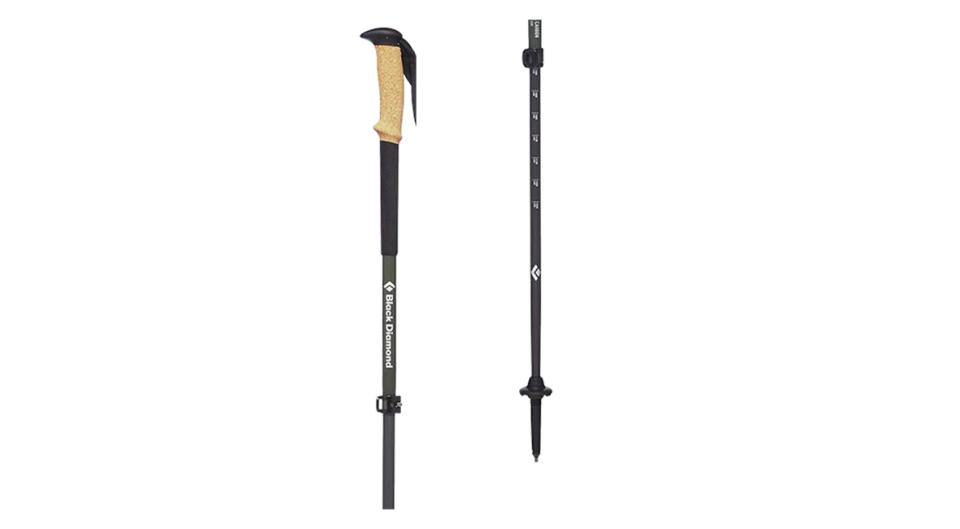 Black Diamond Alpine Carbon Cork Trekking Poles (Photo: Backcountry)