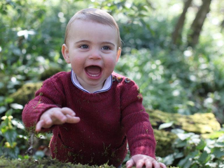 Prince Louis: Kensington Palace releases new photographs to mark royal baby's first birthday