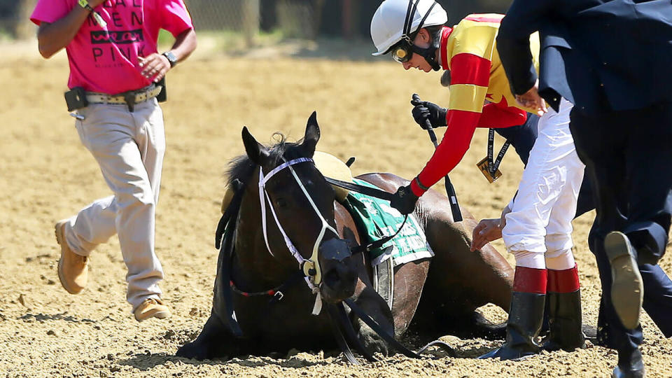 Congrats Gal is surrounded by jockey Trevor McCarthy and rescue workers after she appears to lose her balance and then falls down after the 8th race on Black-Eyed Susan Stakes Day on May 17, 2019 at Pimlico Race Course in Baltimore, MD. Jockey (Photo by Cliff Welch/Icon Sportswire via Getty Images)