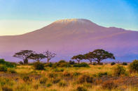 Siguiendo con las cumbres del planeta, el Kilimanjaro es, además de la cima de África, la montaña independiente más alta del mundo, ya que no forma parte de ninguna cordillera. Este volcán inactivo situado en el noreste de Tanzania tiene una altura de 5.894 metros. (Foto: Getty Images).