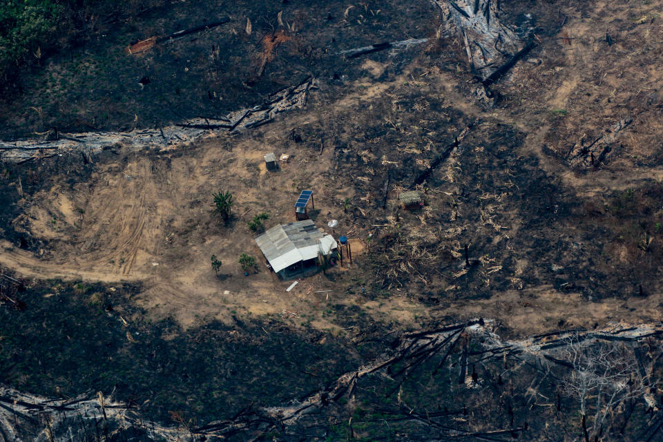 Image: Deforestation activity surrounding Boca do Acre, a city in the Amazonas State in the Amazon basin, on Aug. 24, 2019. (Lula Sampaio / AFP via Getty Images file)