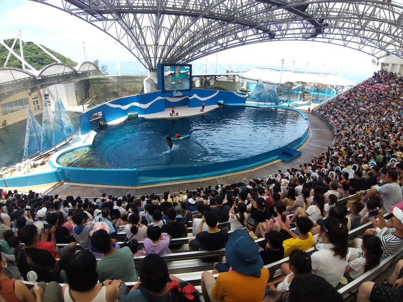 花蓮遠雄海洋公園端午連假湧人潮，23日入園人數超過9000人，園區各表演場次場場爆滿、座無虛席。（業者提供）中央社記者張祈傳真 112年6月23日