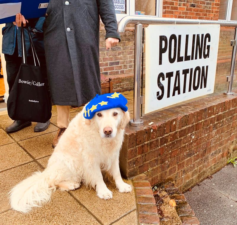 FILE PHOTO: A dog sits outside a polling station in Hove