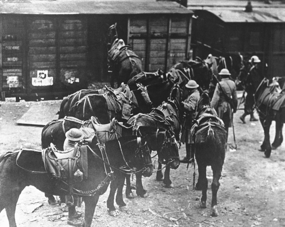 FILE - In this March 7, 1918 file photo, men of U.S. Battery E, 5th Field Artillery Battalion, 1st Infantry Division, load horses onto freight cars in Toul, eastern France, en route to the French front. They were messengers, spies, sentinels and the heavy haulers of World War I, carrying supplies, munitions and food and leading cavalry charges. The horses, mules, dogs and pigeons were a vital part of the Allied war machine, saving countless lives _ and dying by the millions. (AP Photo, File)