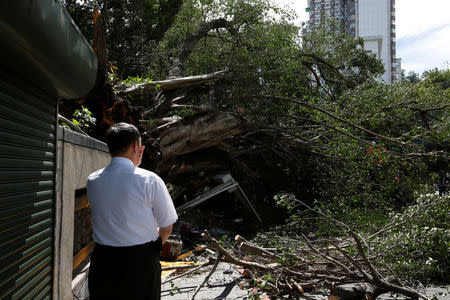 A man reacts in front of a tree uprooted by strong winds brought by Typhoon Nesat in Taipei, Taiwan July 30, 2017. REUTERS/Tyrone Siu