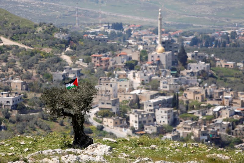 FOTO DE ARCHIVO: Una bandera palestina cuelga de un árbol en el pueblo de An-Naqura, cerca de Nablus, en la Cisjordania ocupada por Israel