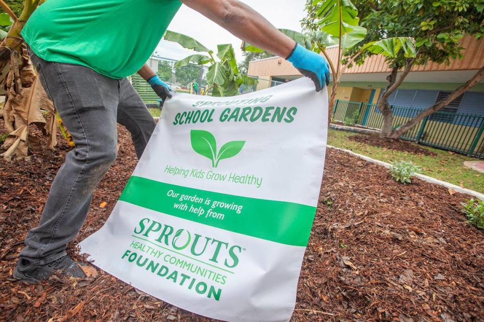 Jesses Vieux puts a Sprouts sign at the center of the school garden.