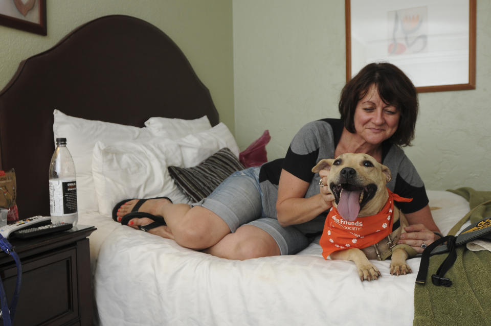 A woman pets a smiling pit bull. (Courtesy of Best Friends Animal Society)