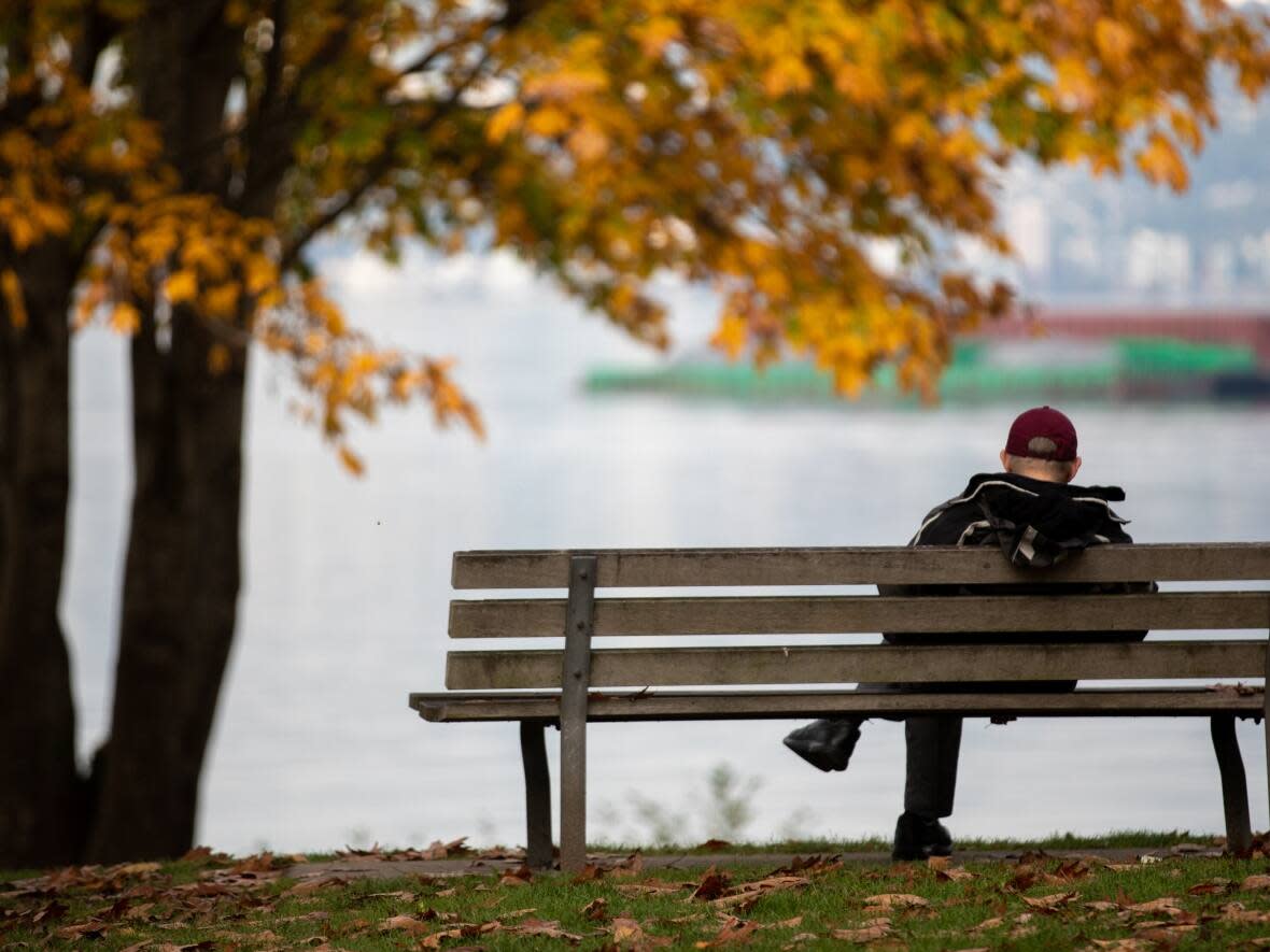 Fall colours are on display in Kitsilano as a man sits on a bench overlooking ships waiting in B.C.'s Burrard Inlet.  (CBC / Radio-Canada - image credit)