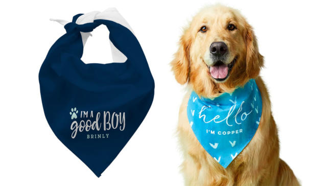 Pet bandana shop shutterfly