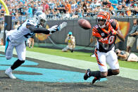 <p>Cincinnati Bengals wide receiver A.J. Green (18) lays out for the catch but cant hold onto the ball when he hits the ground during the NFL game between the Cincinnati Bengals and the Carolina Panthers on September 23 2018, at Bank of America Stadium in Charlotte,NC. (Photo by Dannie Walls/Icon Sportswire via Getty Images) </p>