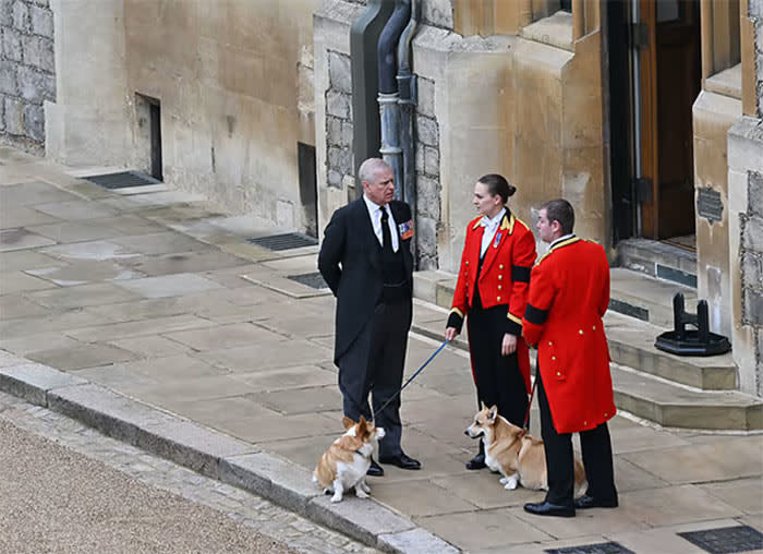 El príncipe Andrés con los corgis el día del funeral de Isabel II