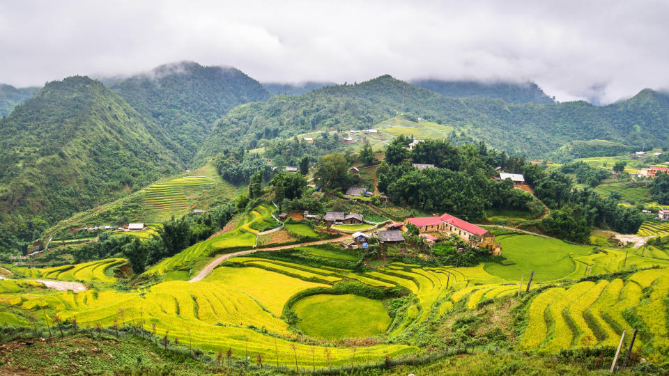 Paisaje de terraza de arroz en Cat Cat Village en Sapa, Vietnam