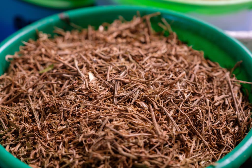 close up on dried ashwaganda roots used for herbal tea, bunjako island, mpigi district, uganda