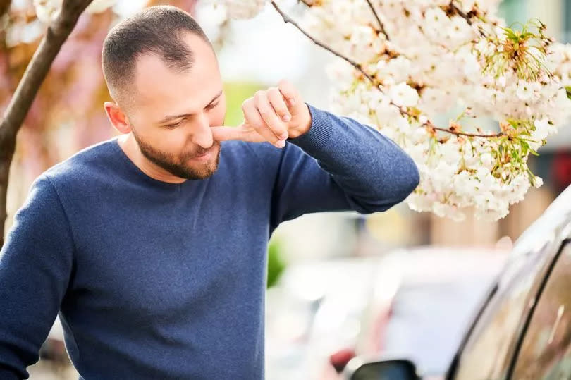 A man suffering from hay fever blocking his nose