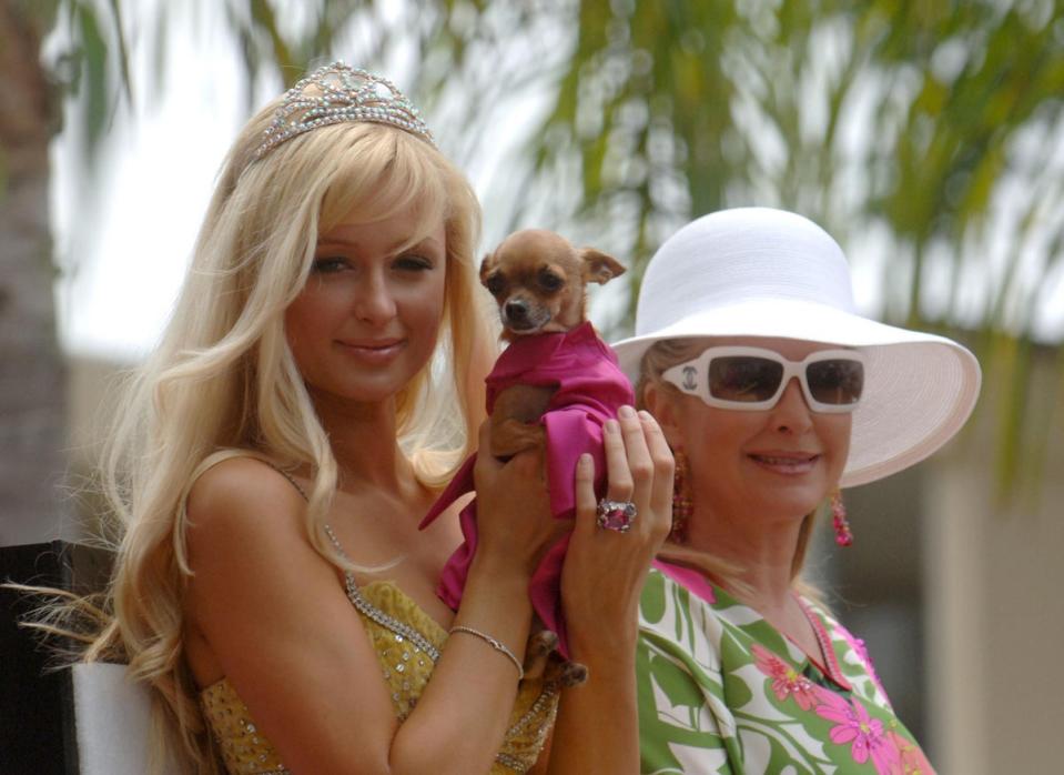 Beloved pet: Paris Hilton with Tinkerbell (Phil McCarten/Getty Images)