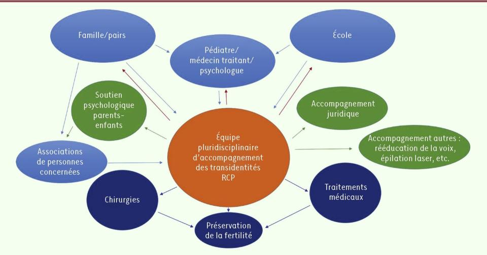 <span>Capture d'écran de l'étude "Accompagnement des transidentités chez l'enfant et adolescent(e) transgenre"</span>