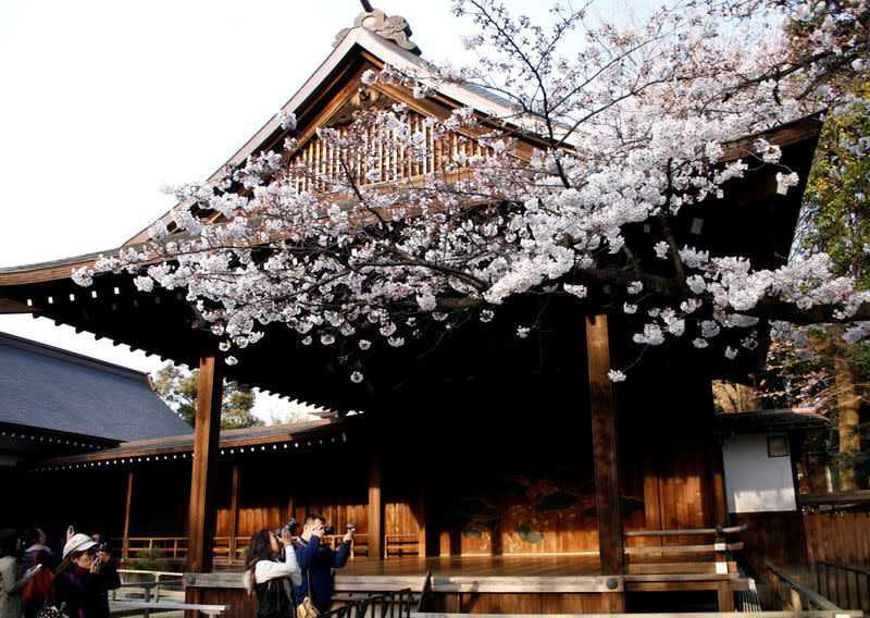 FILE PHOTO: People take pictures of blooming cherry blossoms at Yasukuni Shrine in Tokyo, Japan