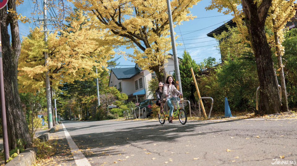 前往雲場池的路上，偶然遇見銀杏道。