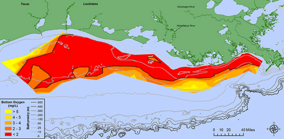 Un área equivalente al tamaño de New Jersey es una zona muerta en el Golfo de México. (Archivo/Yahoo!)