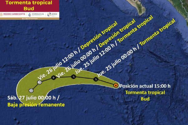 Tormentatropical-Bud