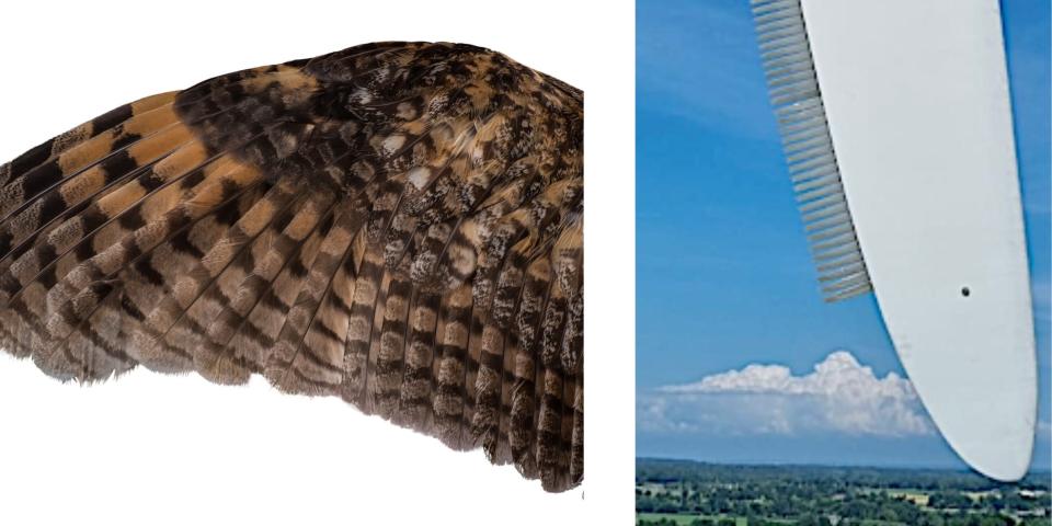 A brown owl wing on the left and a white spiked wind turbine on the right