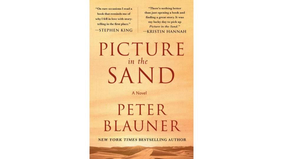 The book cover of Pictures in the Sand by Peter Blauner.