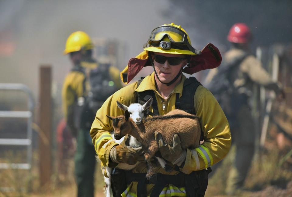 California Wildfires