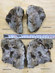 Saw cut grab sample of spodumene pegmatite from northeastern portion of CV13 trend. Assay pending.