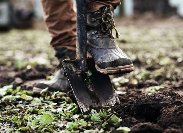 Foot pressing down on shovel to prepare to plant