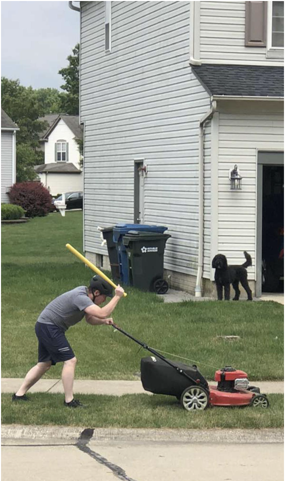 A man carrying a bat while mowing his lawn