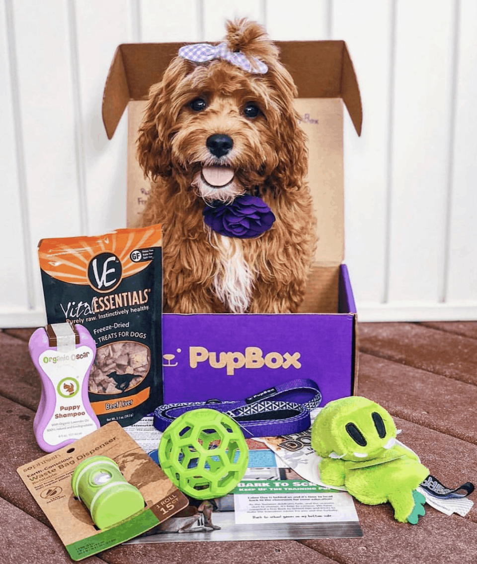 12) PupBox