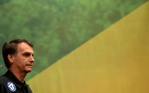 Brazil's right-wing presidential candidate Jair Bolsonaro is seen as pliant to the powerful agrobusiness lobby in his country known for putting profit ahead of preservation