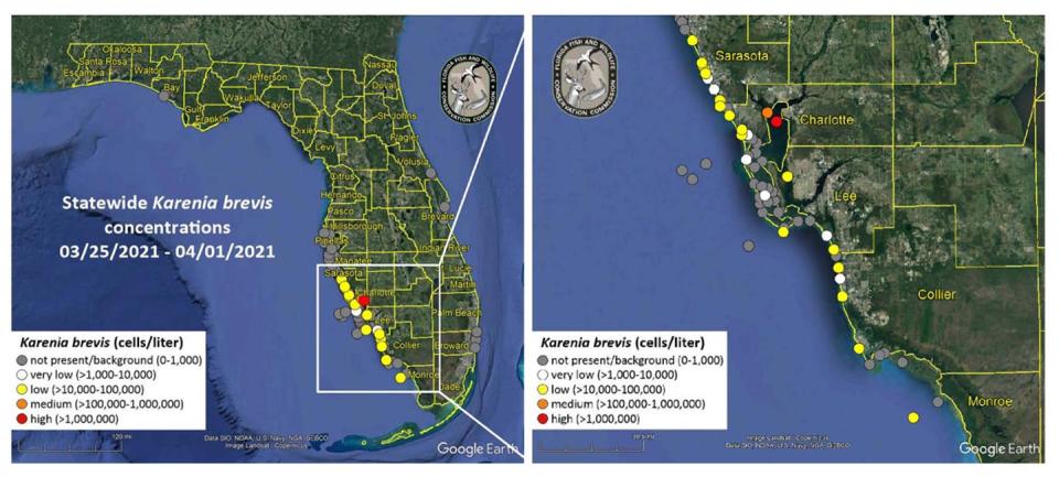 Two maps with dots showing locations of reports.