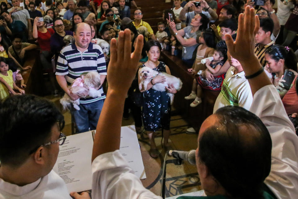 Animals and their owners gather at Our Ladies of Remedies Parish in the Malate area of Manila on October 6, 2019, for an annual pet blessing ceremony. (Photo: JAM STA ROSA/AFP via Getty Images)