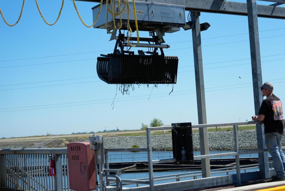 An employee uses a claw-like device to remove aquatic plants at the John E. Skinner Delta Fish Protective Facility.