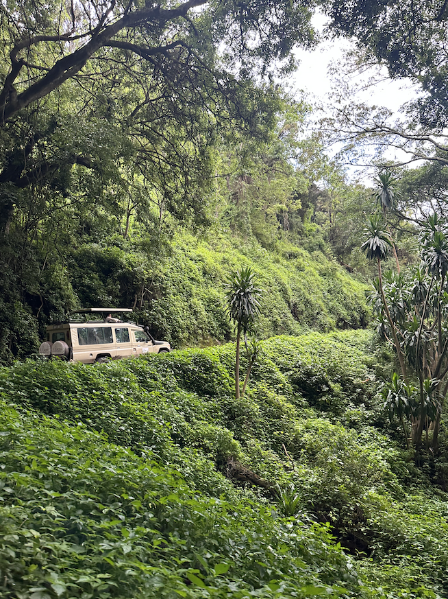 various photos from the ngorongoro crater