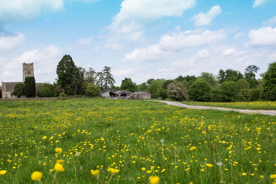 luckington court grounds