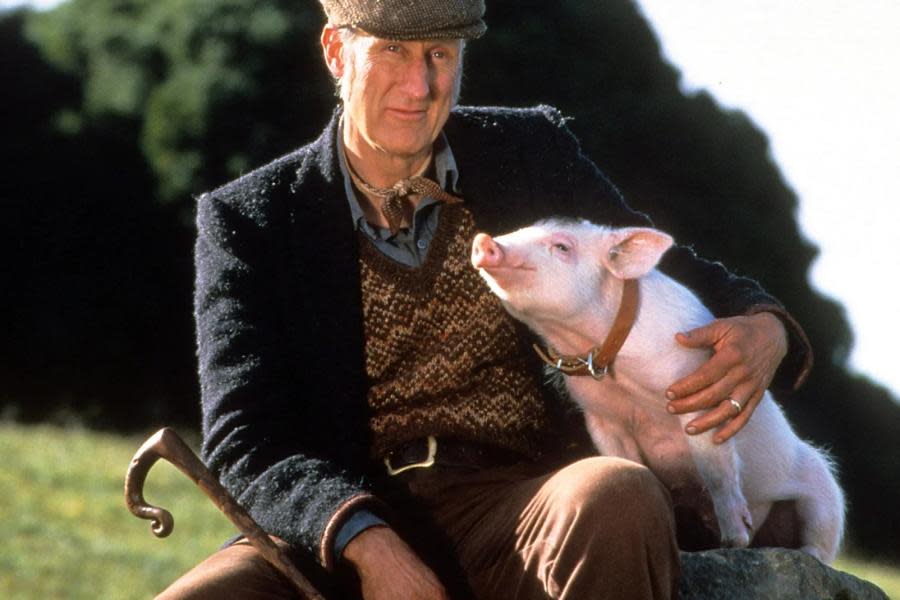 James Cromwell salvó a un cerdito del matadero y lo nombró Babe