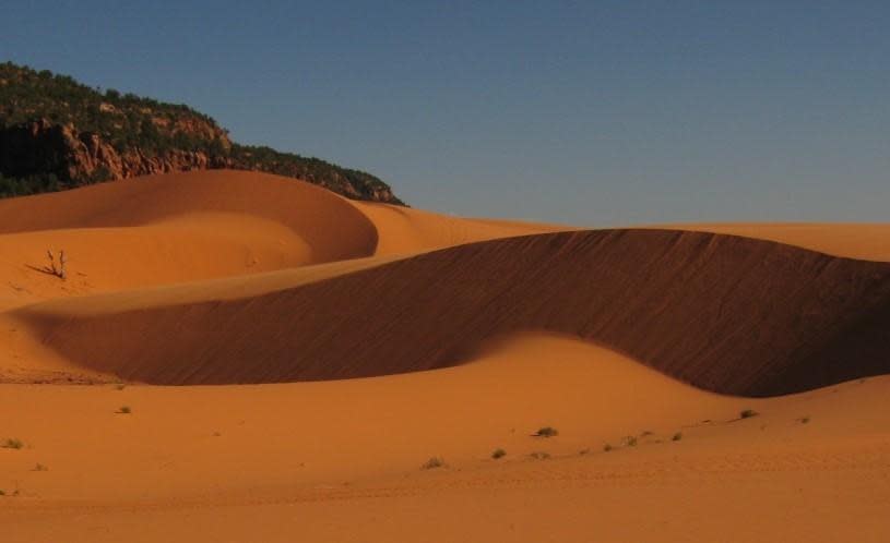   Coral Pink Sand Dunes State Park / Credit: Utah State Parks