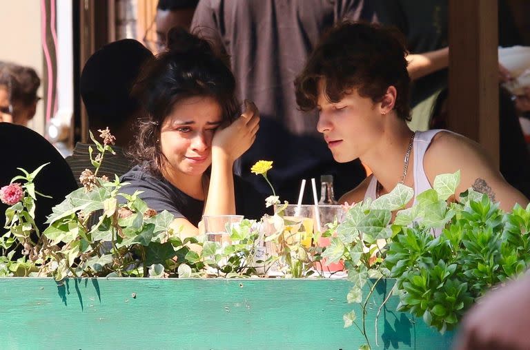 El pasado septiembre, Camila Cabello fue fotografiada llorando en Nueva York mientras Shawn Mendes la consolaba bes&#xe1;ndola un par de veces mientras desayunaban en el restaurante Jack&#39;s Wife Freda en el &#xe1;rea del Soho de Manhattan. Ese d&#xed;a, la pareja asisti&#xf3; a los MTV VMA de 2021 en Brooklyn