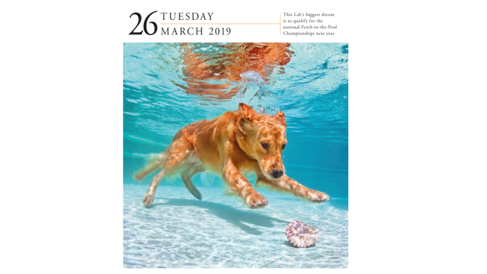 Dog-a-day calendar