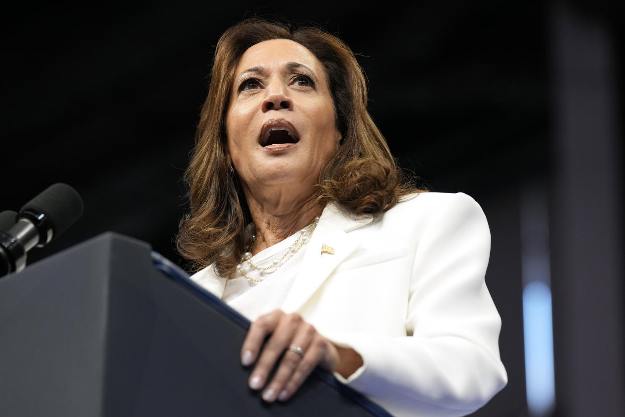 Democratic presidential nominee Kamala Harris speaking at a campaign rally in Georgia.