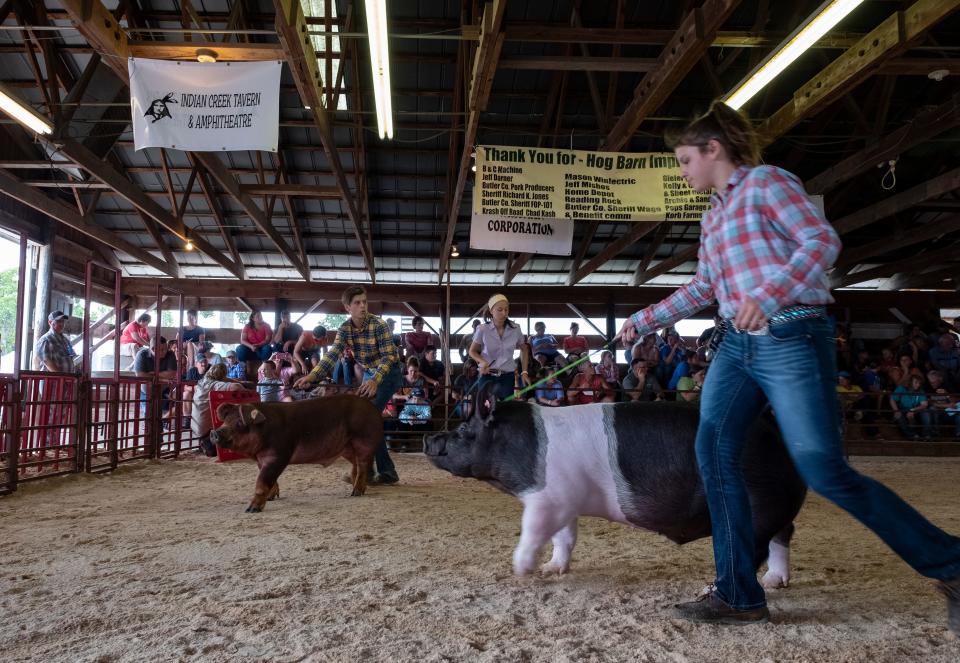 The Junior Fair Market Hog Show at the Butler County Fair in 2019.