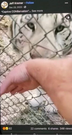 An employee at Kowiachobee Animal Preserve faces a legal trouble after authorities say she allowed several relatives to access an enclosure with two tigers and pet them, captured in a social media video that went viral.