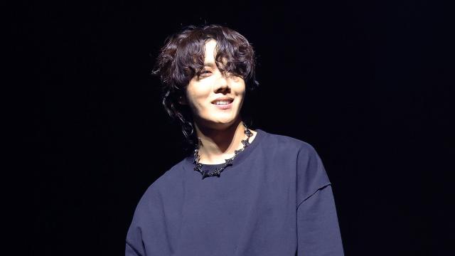 BTS' J-Hope Debuted New Grunge Style While Performing at Lollapalooza